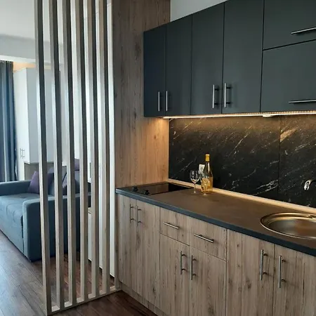 Vihor A21 Apartment *