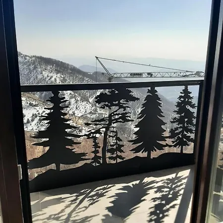 Vihor A21 アパート